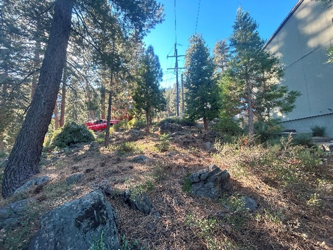 After Urban Lot Reduction 9.2024