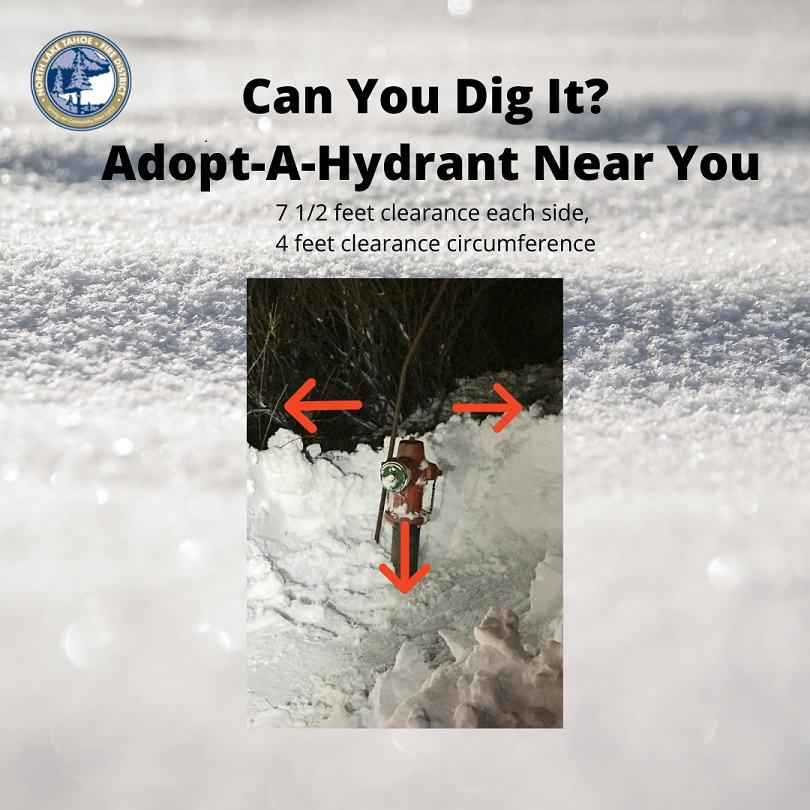 Can You Dig It Adopt A Hydrant Near You